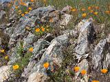 Russian Ridge 001